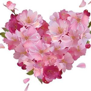 Meet your Posher, Jody